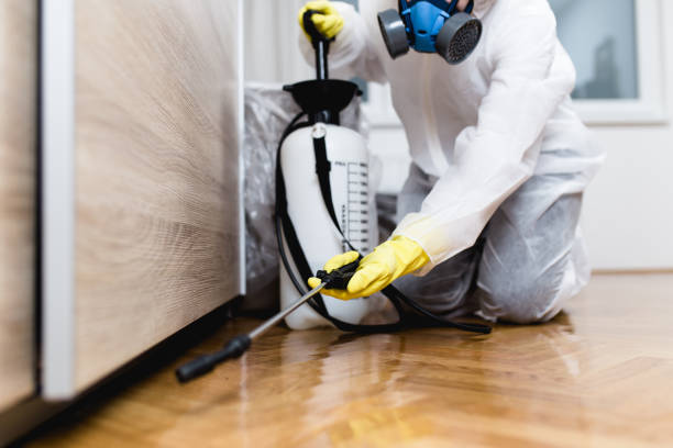 Reliable Snow Hill, NC Pest Control Solutions