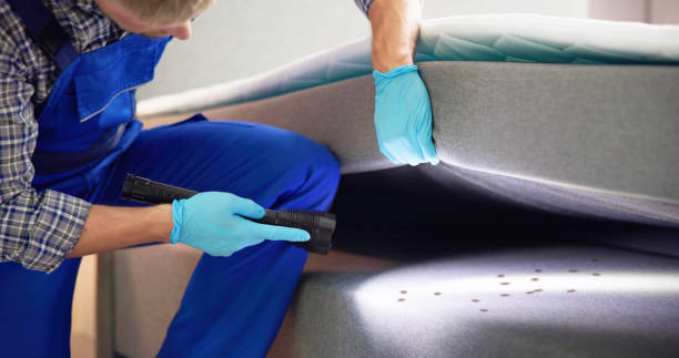 Best Rat Extermination Near Me  in Snow Hill, NC