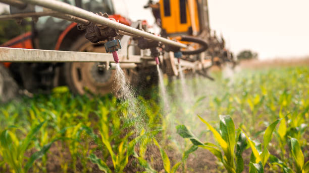 Best Commercial Pest Control Services  in Snow Hill, NC